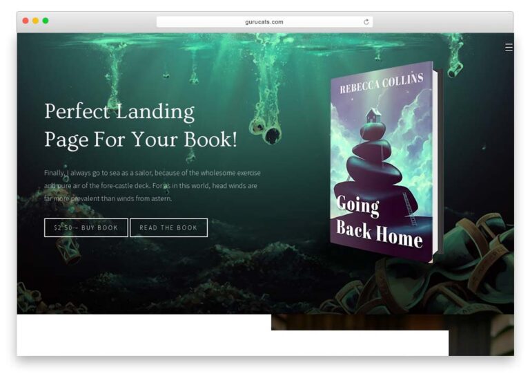 7+ Best WordPress Themes for Authors and Writers in 2022